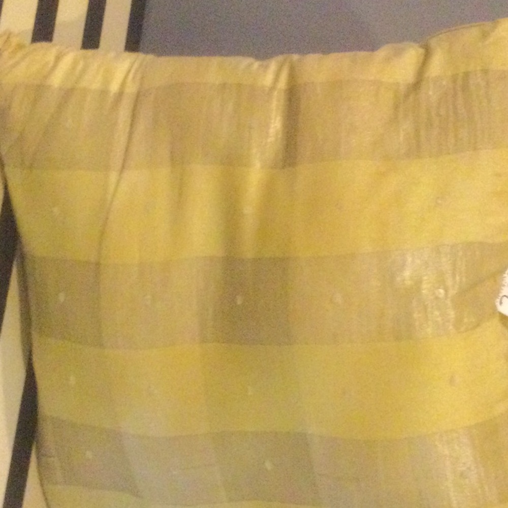 Gold Silk Pillow Cover